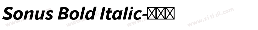 Sonus Bold Italic字体转换